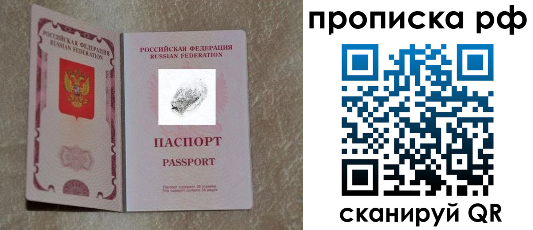 прописка поиск в Гуково